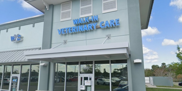 Walkin pet best sale clinic near me